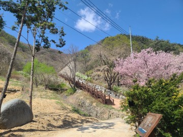 의성군, 금봉산 자생식물원 개장