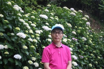 [기고]형형색색의 수국이 좋은 일본 쓰시마를 거닐다.