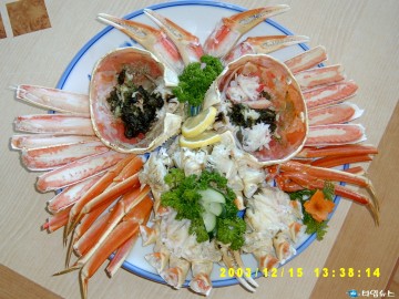 온천과 대게찜이 유혹하는, 울진 겨울보양여행