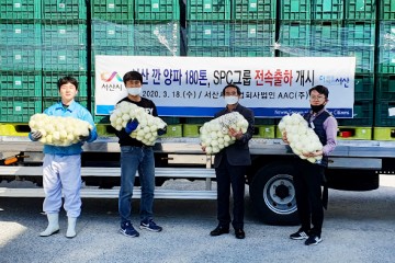 SPC그룹에 연 190톤 납품되는 서산양파