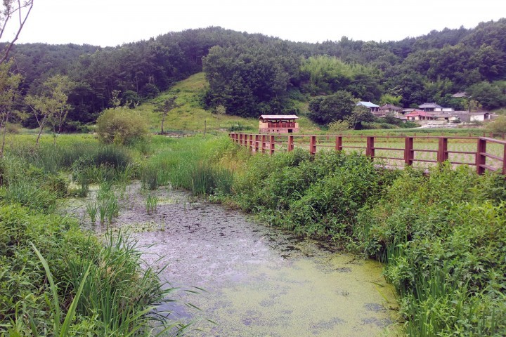 K-water, 수자원개발지 생태계 복원 적극 나서