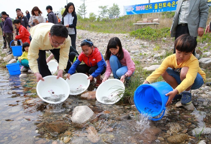 울진토속은어 30만 마리 방류