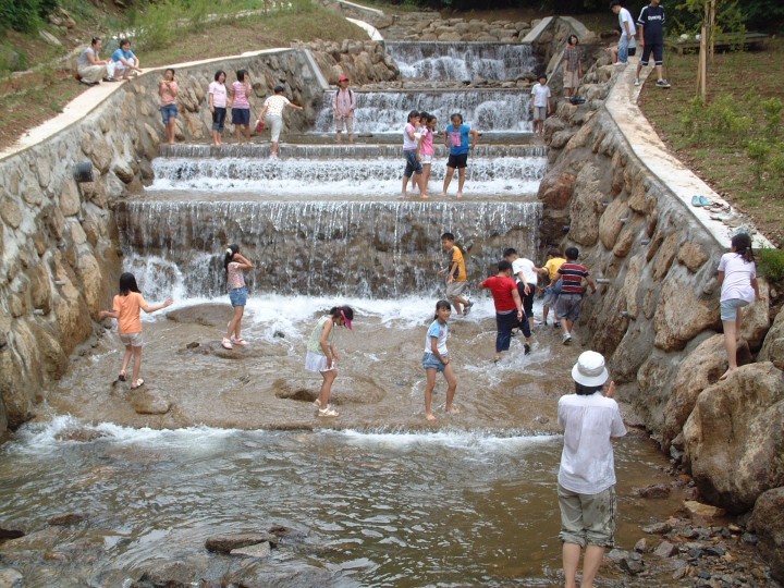 영동 민주지산자연휴양림, 여름 피서지로 '인기' 