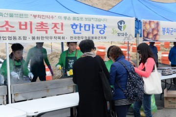제5회 봉화송이 전국마라톤대회 성황리 마무리 하프, 10km, 5km코스에 1,826명 참가 