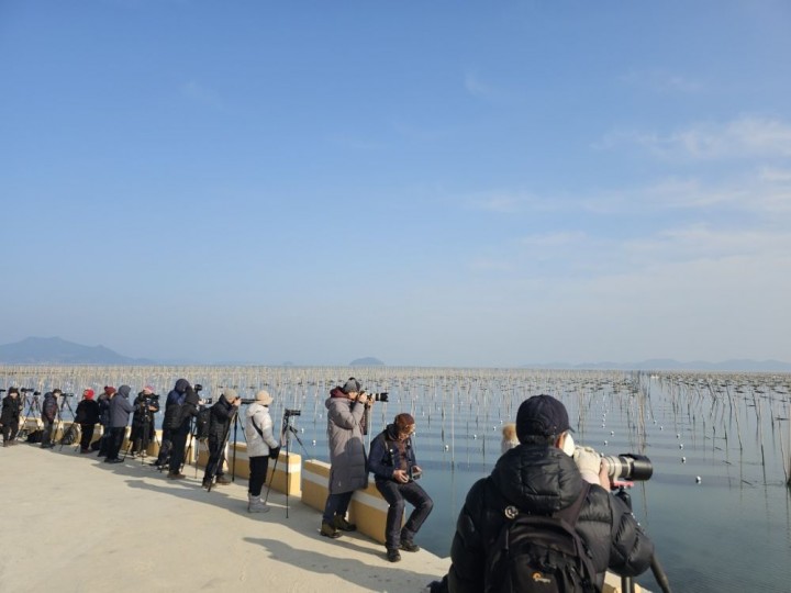 장흥군, ‘장흥 매생이 양식장’ 사진명소로 각광 