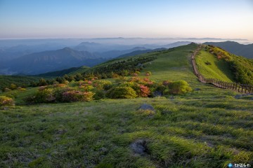 영주 소백산철쭉제’ 27일 개막!