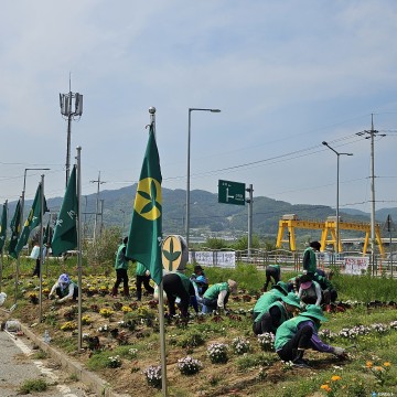 소이면 새마을지도자협의회, 시가지 환경정비 실시