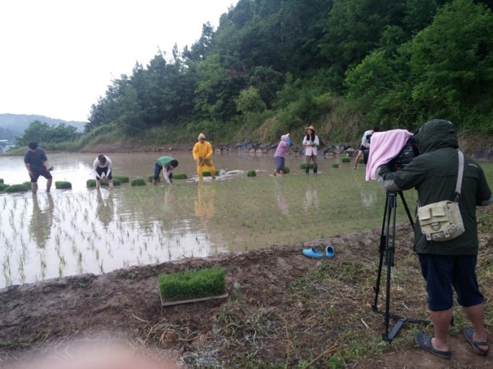 허기도 산청군수, ‘진격의 촌놈’ 촬영팀과 손모내기 실시
