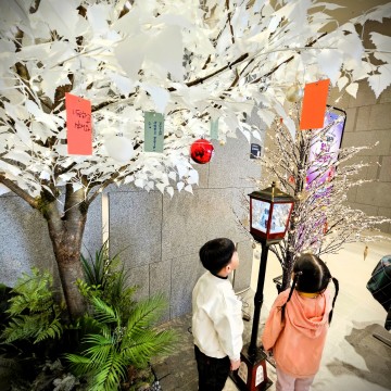 영주 선비세상 ‘윈터페스티벌’, 뜨거운 호응 속 새해 맞아