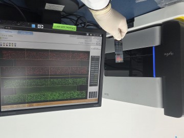 충북 한우, 유전적 설계부터 달랐다... 개량지원사업 ‘전국 제패’