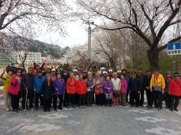 충북북부보훈지청, 수안보 벚꽃축제 나들이 행사