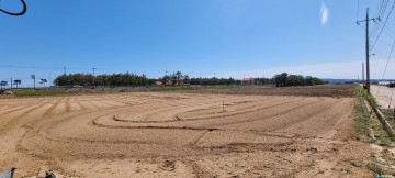 ‘영덕 자염’, 경상북도 무형문화재 지정 예고