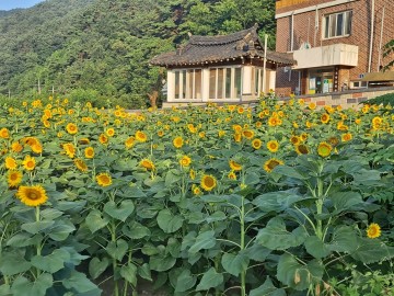 곡성군, 청정전남 으뜸마을 추진현황 현장점검  