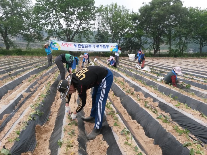 농촌지도직 공무원 농촌현장 속으로...