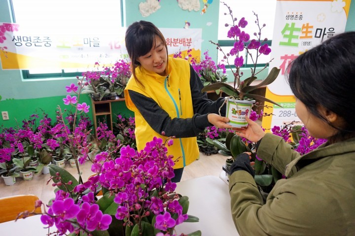 북구자살예방센터 생명존중 의미담은 화분 보급