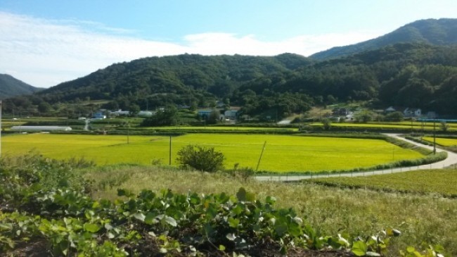 천안의 알프스 북면 이야기 길 함께 걸어요!!!