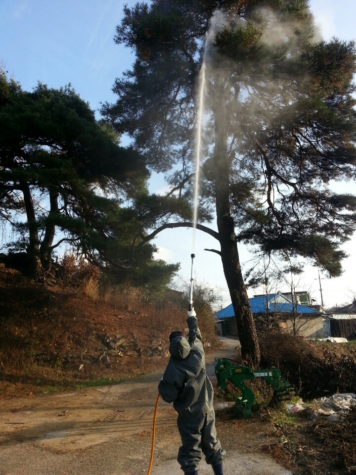 상주시, 산림분야 정부합동평가 우수기관 영예