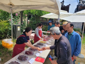 체리 1번지 경주로 체리 맛보러 오세요
