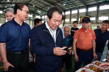 김천시장, 가격 및 경매상황 살피러 농산물도매시장 직접방문