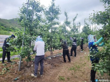 스마트 장비를 활용한 새로운 농촌일손돕기  “어르신요, 이제 편하게 작업하시더”