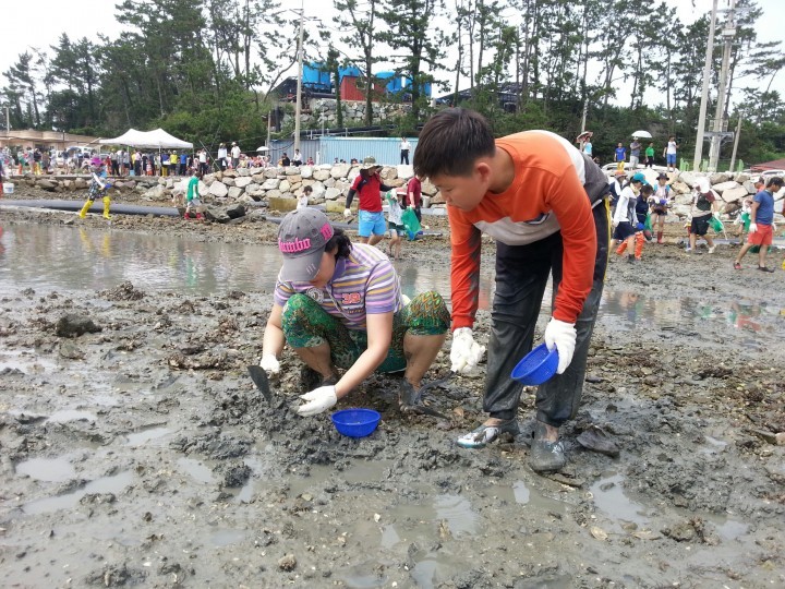 강진 서중마을, 전국 최고 어촌마을 선정