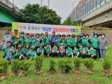 화원읍 새마을회, 천내천 꽃 심기로 새단장