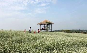 제11회 정읍 두승산 청정메밀축제 29일 개막 