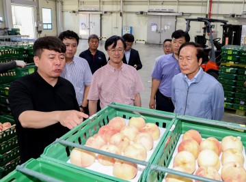 의성군, 과수거점APC 출하현장 점검 