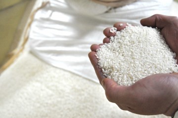 의성군, ‘의성眞쌀’경북 우수브랜드 쌀 선정