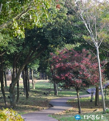 제주, 도민과 함께한 역사식물의 미래를 준비