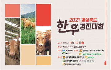 2021년 경상북도 한우경진대회 예천에서 열려