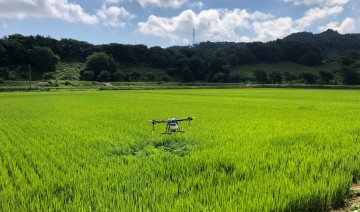 공검면 2차 공동방제 실시