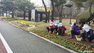 봄맞이 꽃길 조성 한창