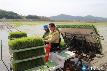예천군, 풍년 영농기원 첫 모내기 실시