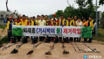 예천군, 토종 식물 지키기 위해 가시박제거작업에 총력