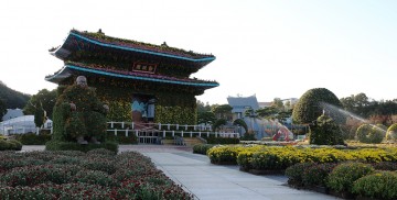 3년 만에 마스크 없이 즐기는 ‘국화 세상’