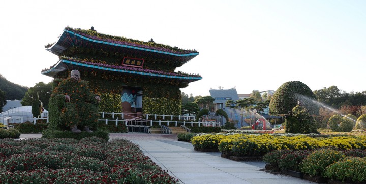 3년 만에 마스크 없이 즐기는 ‘국화 세상’