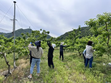 영덕군 달산면 직원들, 영농철 맞아 일손돕기 나서