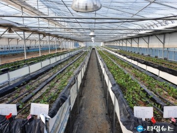 울진 해방풍 스마트 고설재배개발로 지역특화작물 육성