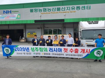 콩닥 콩닥 설레는 극동 러시아에 첫 수출 세계명물 성주참외