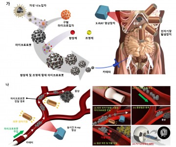 전남대, '색전입자 정밀 전달' 마이크로로봇 개발