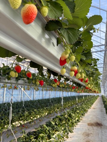 화순군, ‘청년농업인 임대형 스마트팜’ 운영 활기 