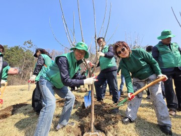 대전새마을회, 식목일 나무심기 60명 참여