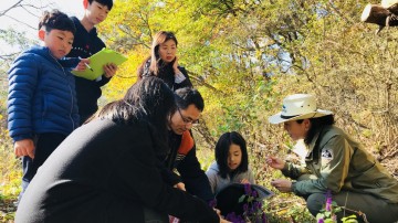그곳에 쉼이 있다!, '쉼'이 필요한 순간, 휴식이 있는 성주로의 여행