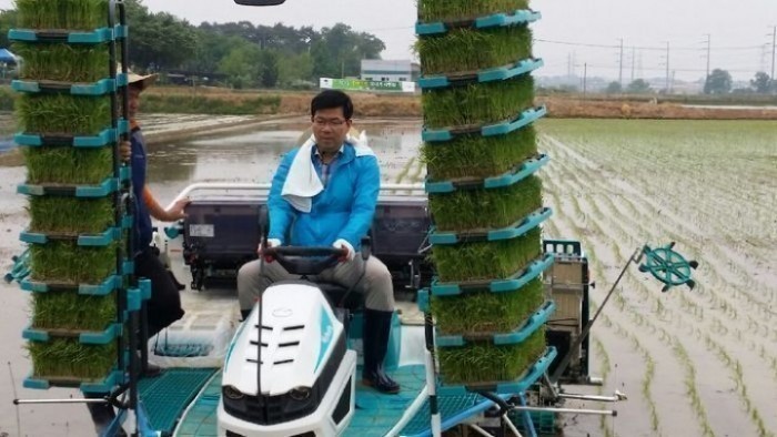 평택시 공재광 시장, 풍년농사 기원 모내기 시연회 개최