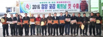  임금님도 반한 함양곶감, 베트남 소비자 공략하기 위해 수출길