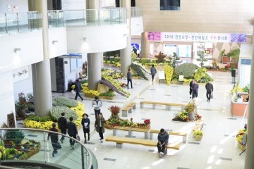 천안시 2018 시민과 함께 공감하고 누리는 국화전시회