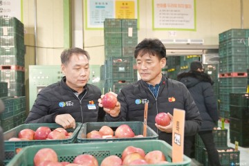 청송군 농산물산지공판장   2023년 새해 첫 경매‘활기’