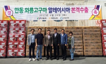 안동 화룡 고구마 말레이시아 수출 증가