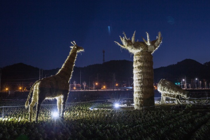 (재)대전문화재단, 2014 볏짚예술제 정월대보름맞이 달집태우기 진행